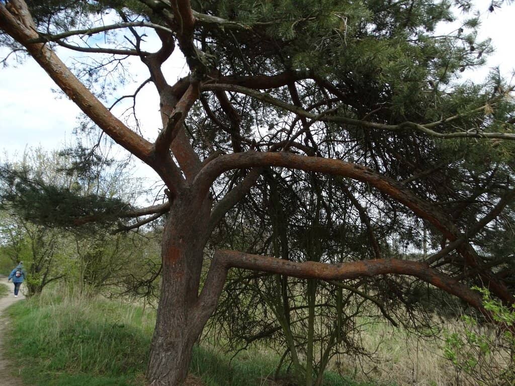 Sunset & Sunrise Views