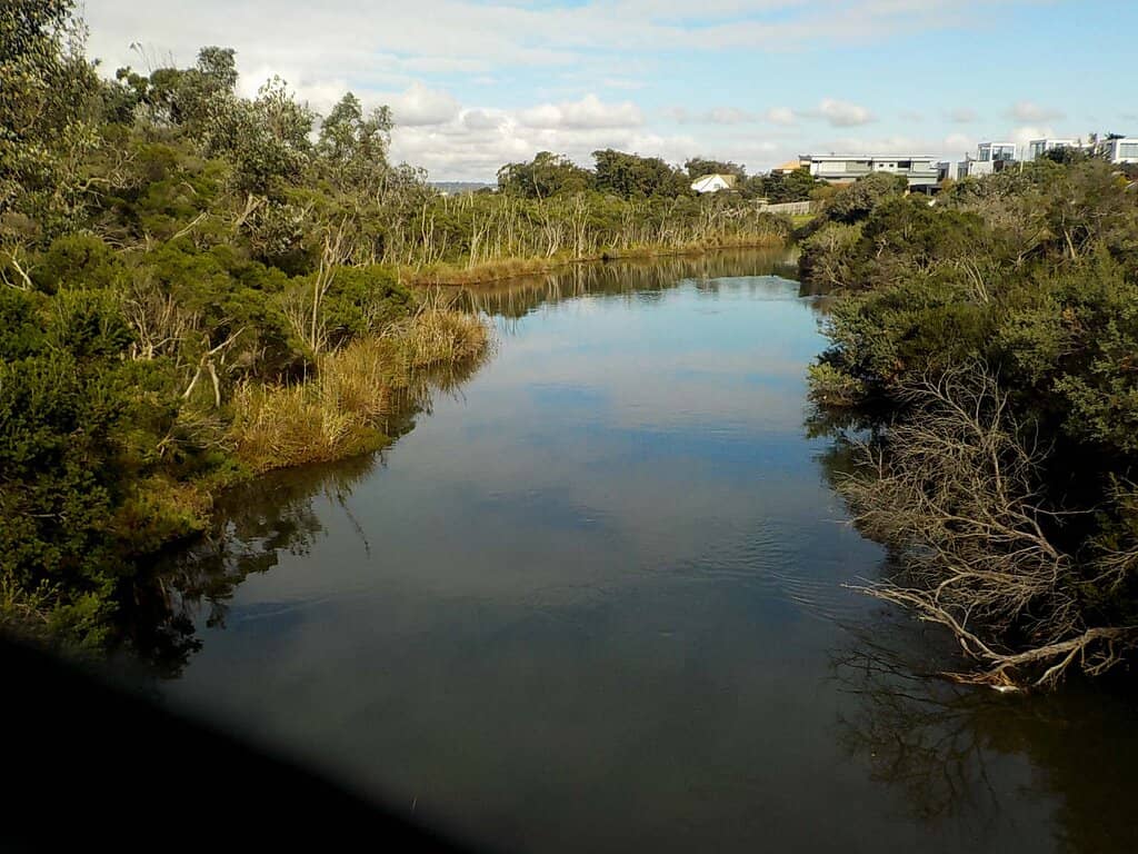 Frankston Boardwalk