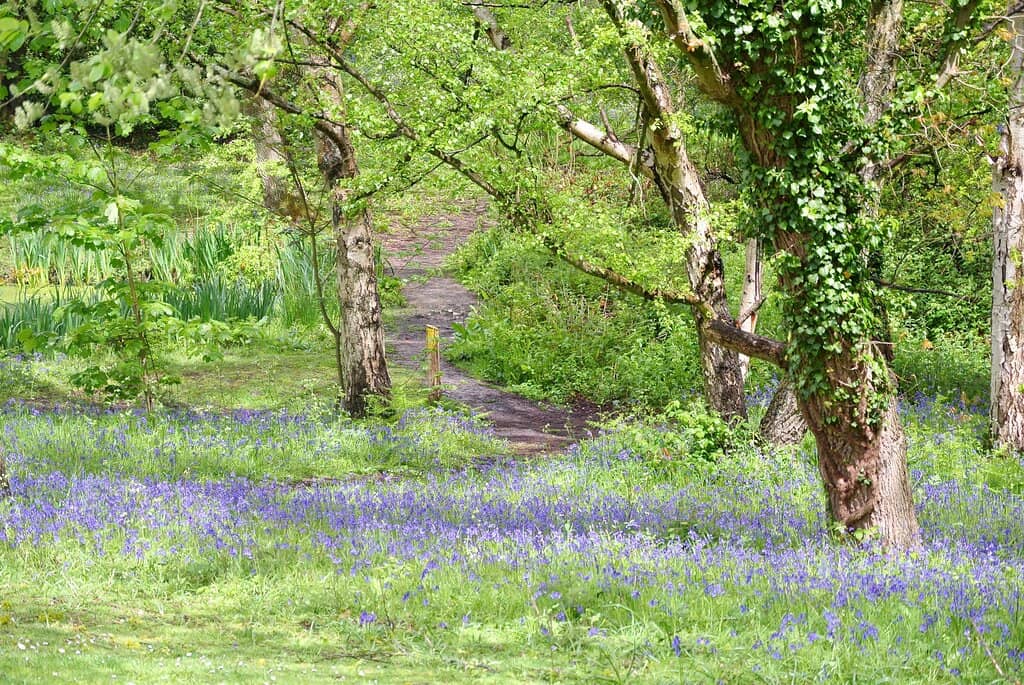 The Iconic Crab and Winkle Hill