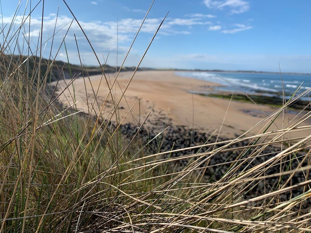 Low Newton Beach
