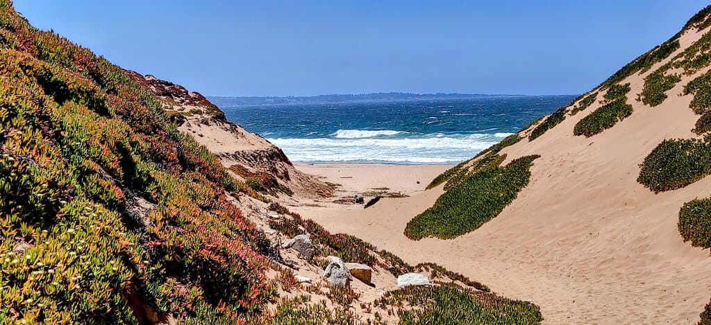 fort ord
