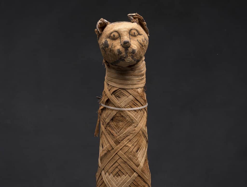 Ancient Egyptian Treasures