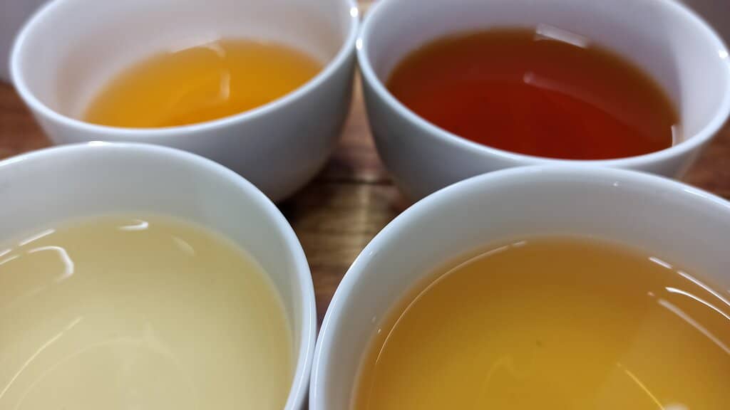 Spectacular Hanging Bridges