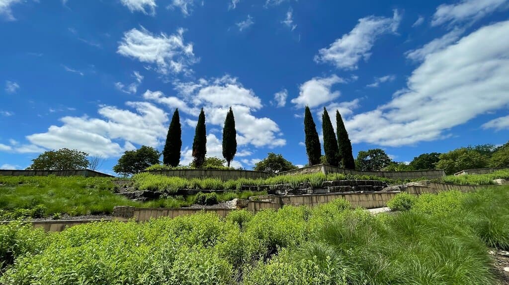 Black Hoof Park, a hidden gem