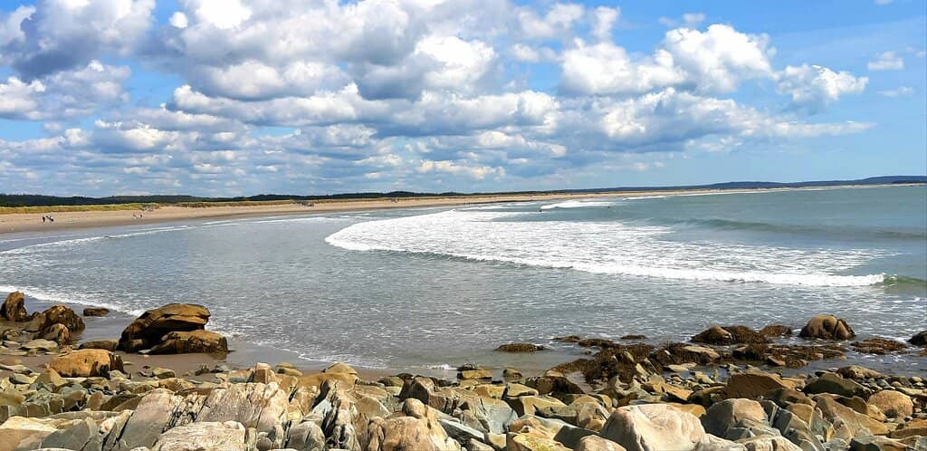 The Endless Shoreline