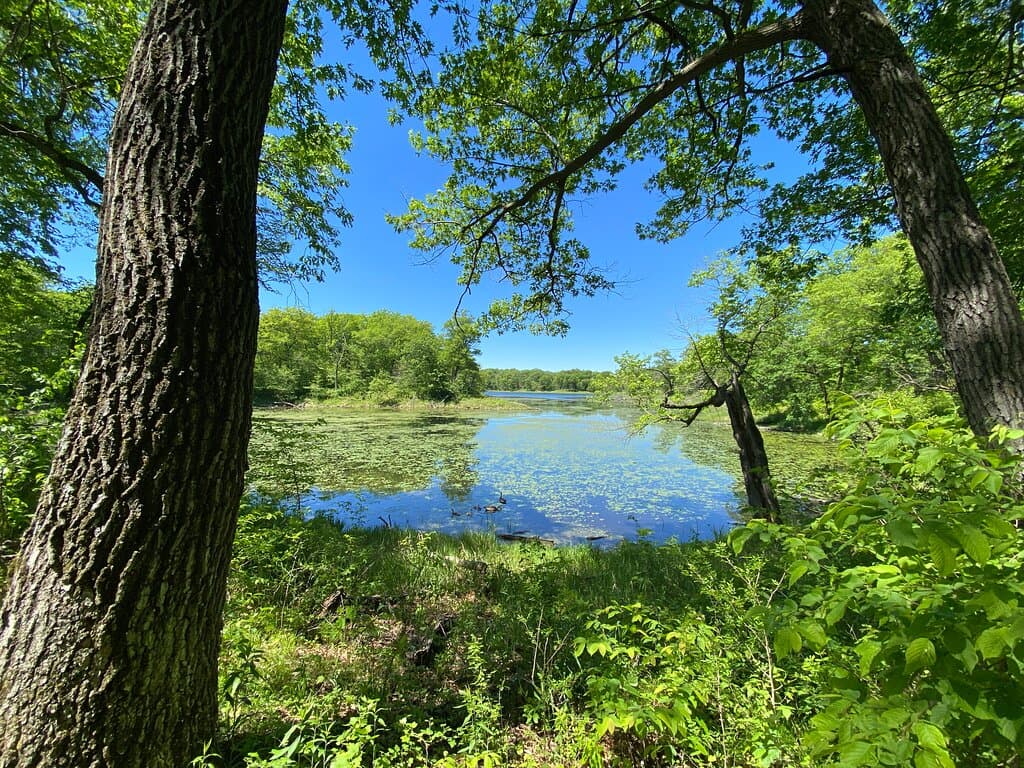 One of the small lakes in the park.