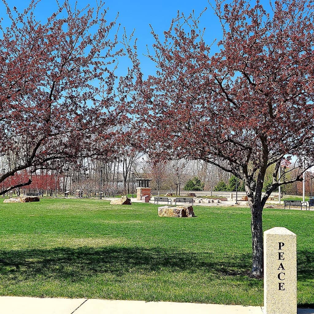Recreational Amenities
