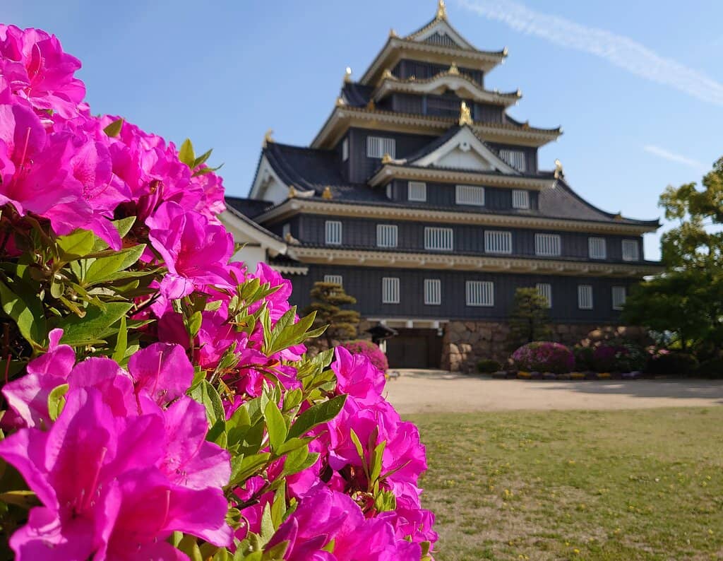 Modern Museum Interior