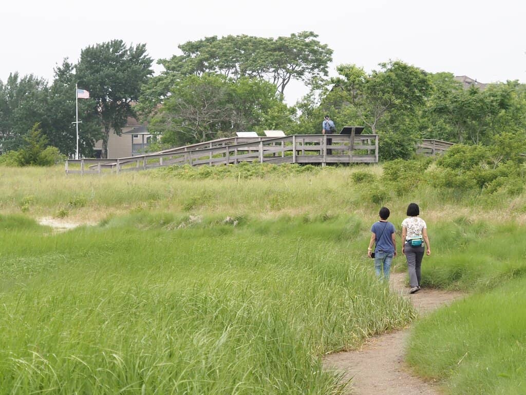 Milford Point Sunset