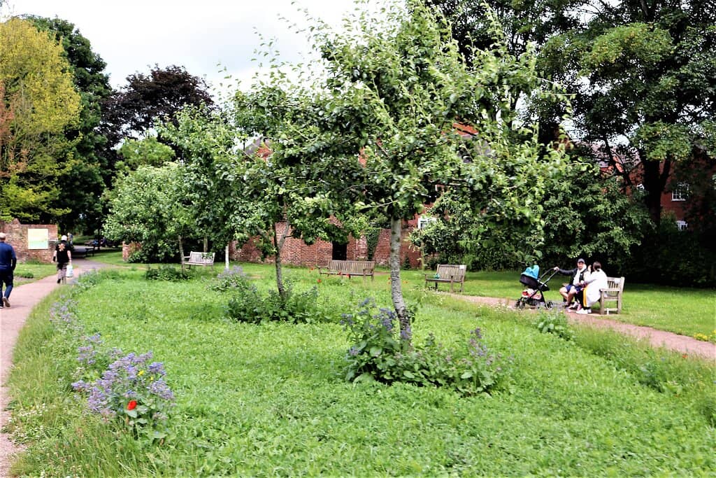 The Rose Garden