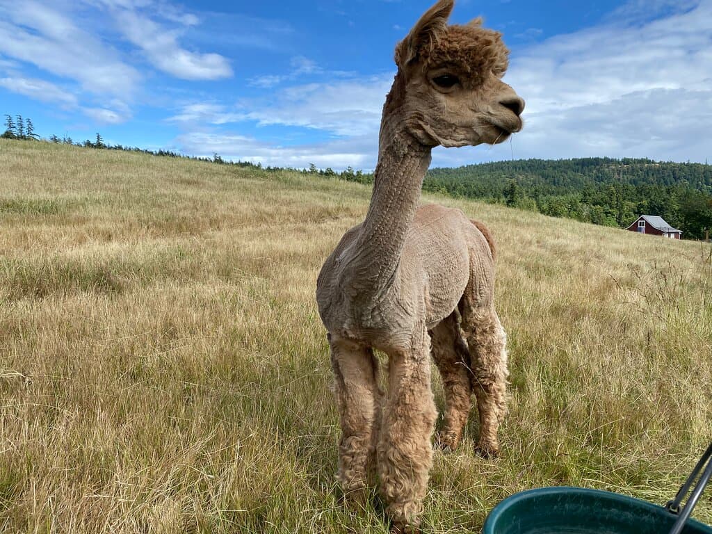 Abello, one of our boys.