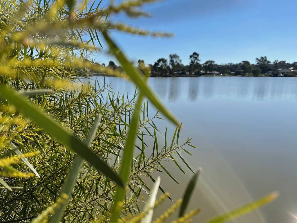 Scenic Lake Stroll