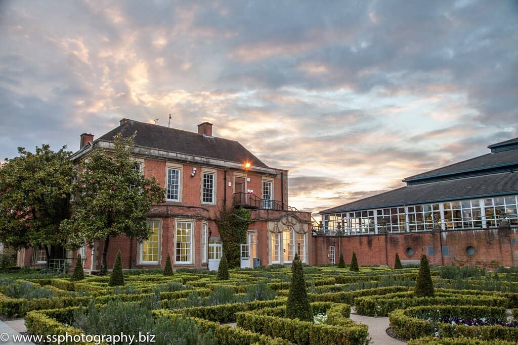 Cinema & Theatre Performances