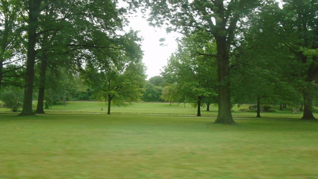 Picnic and Recreation Areas