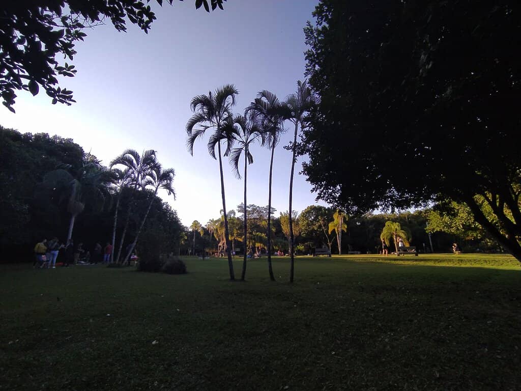 Children's Play Area