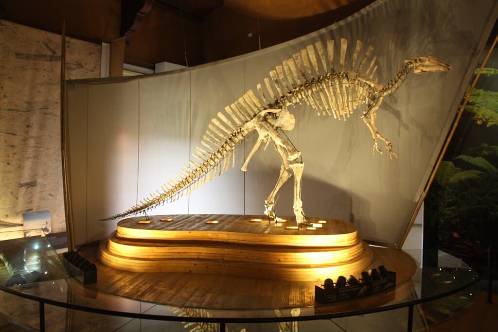 Ouranosaurus