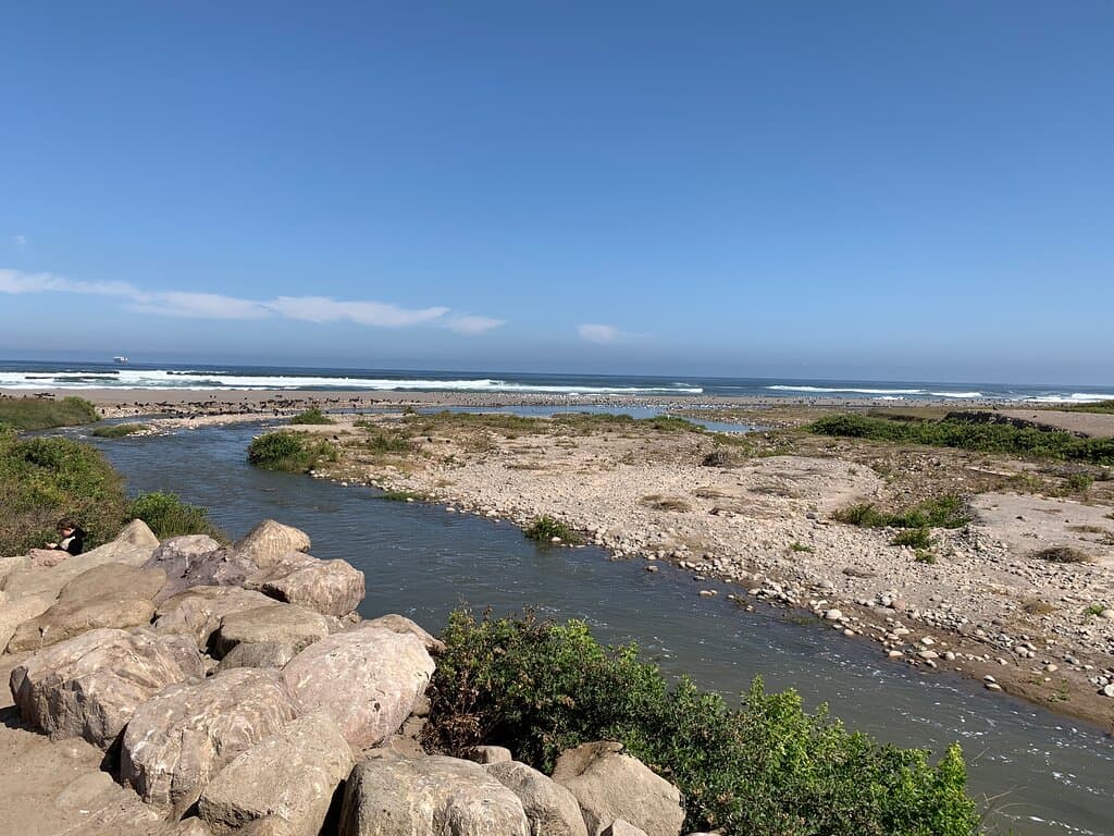 Humedal Del Río Lluta