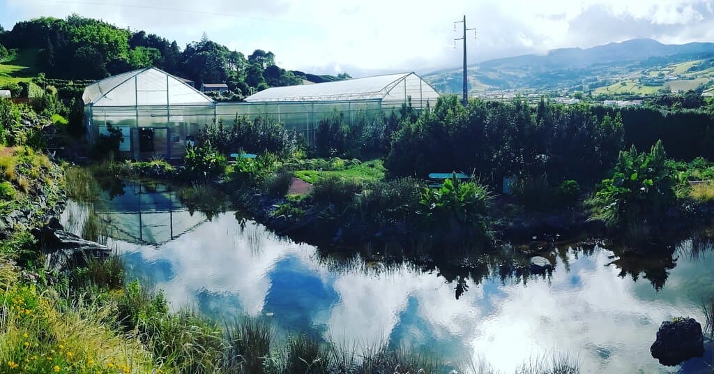 Jardim Botรขnico do Faial
