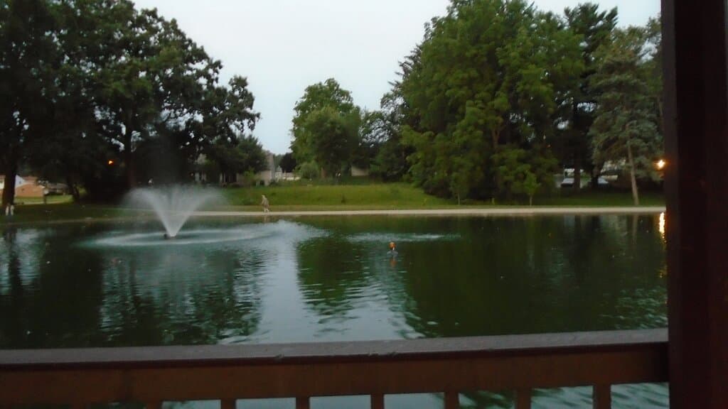 Pond