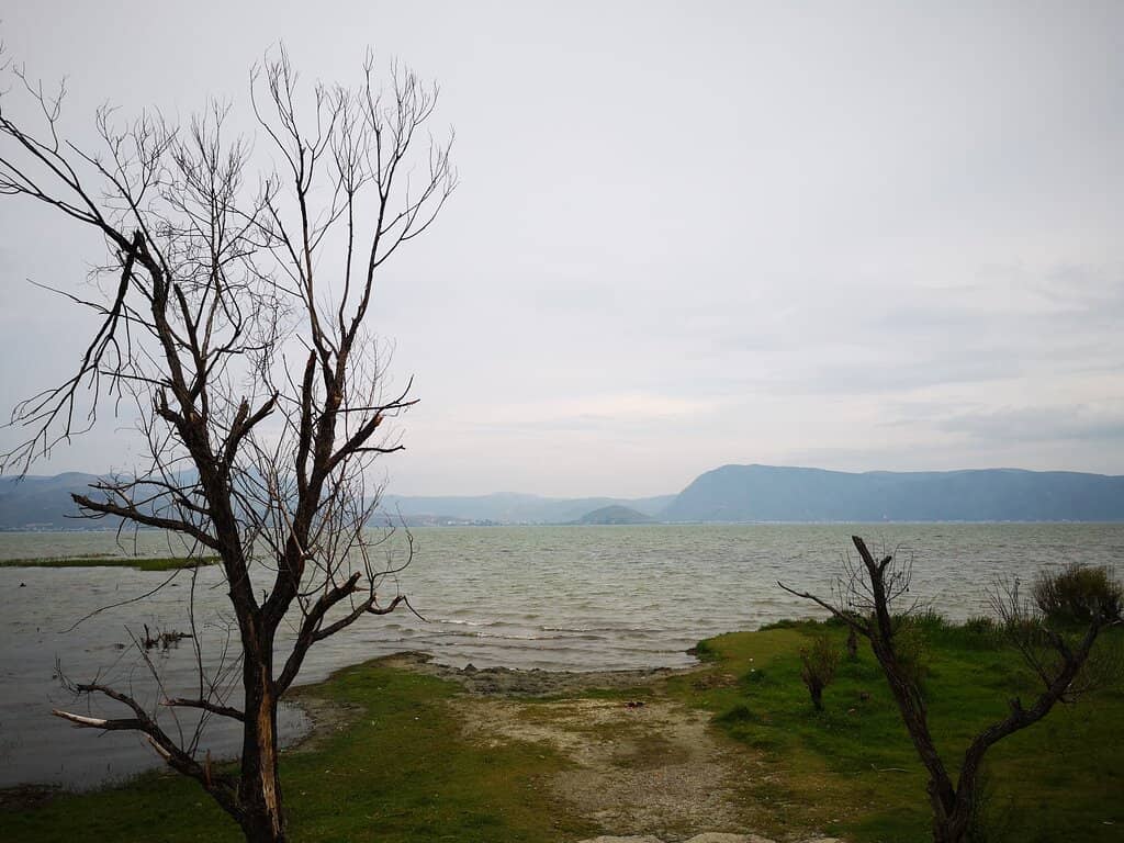 Street Food Delights