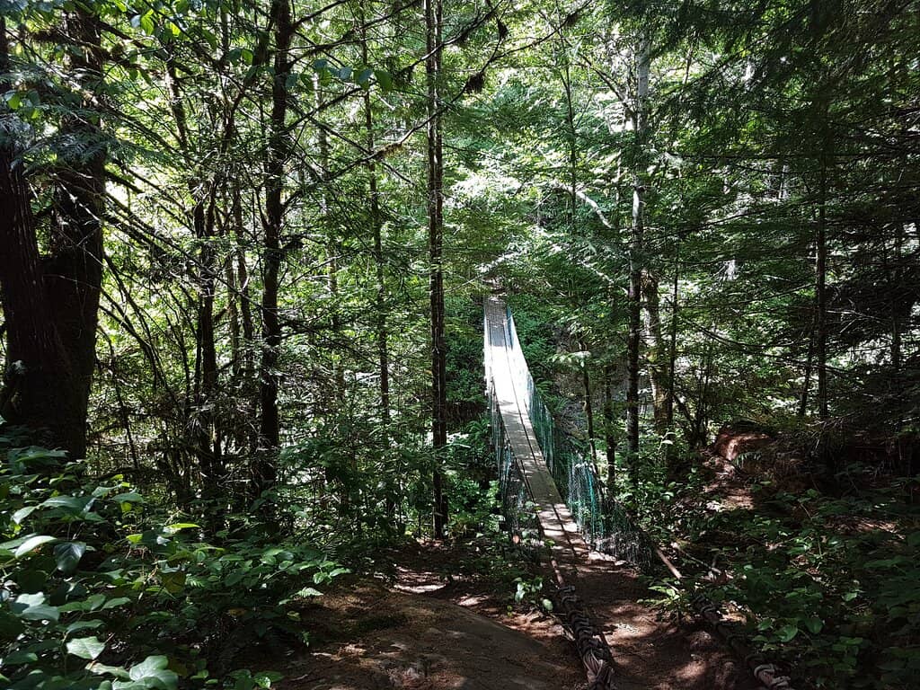 Vertical photo