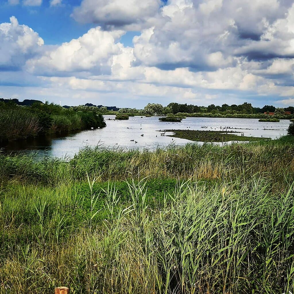 Rieselfelder Münster