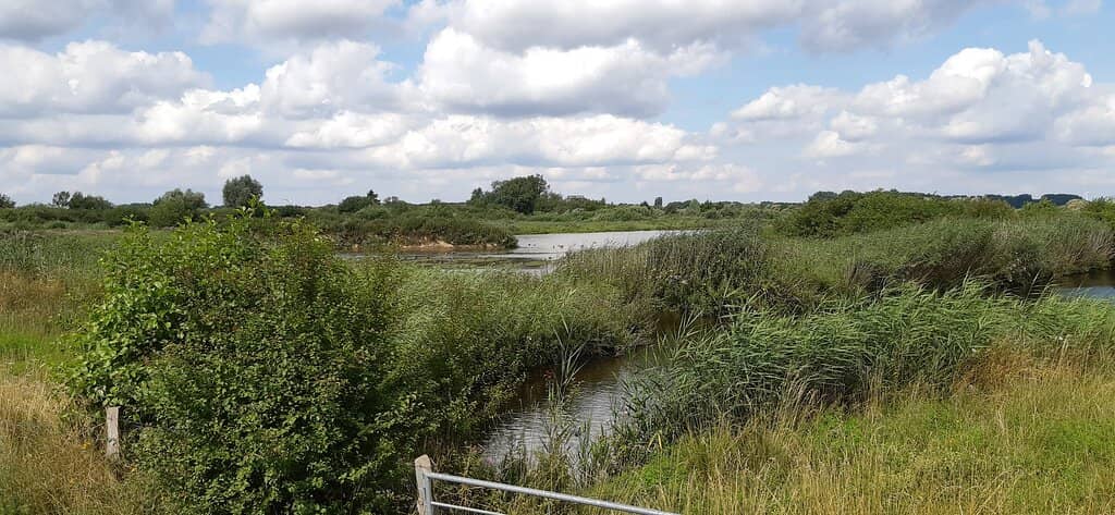 Tranquil Nature Walks