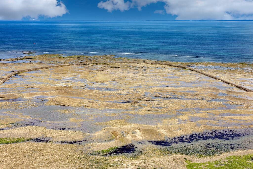 Scenic Coastal Walks