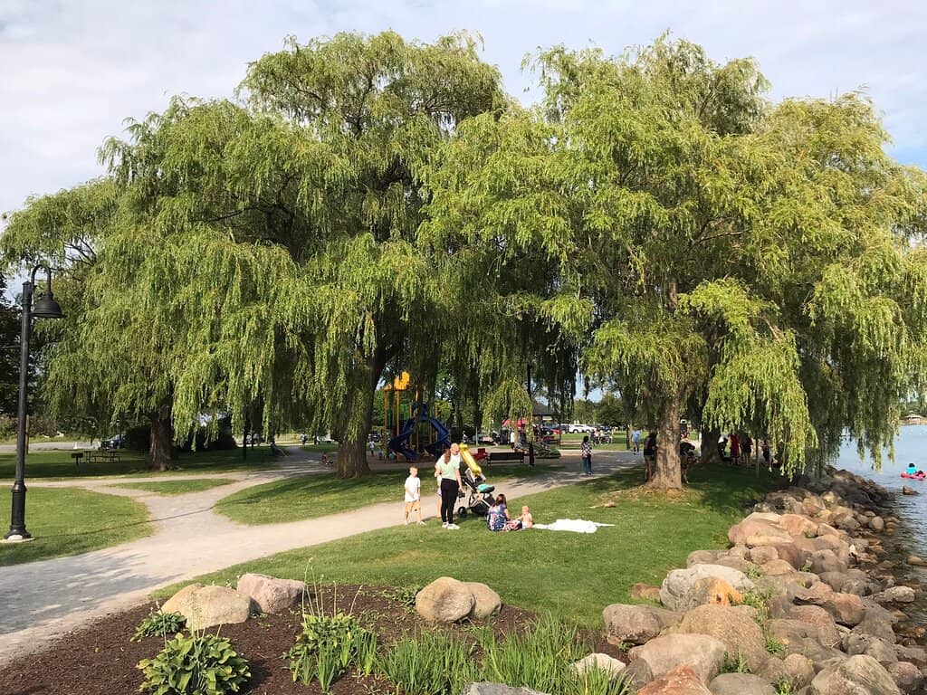 Inclusive Playground