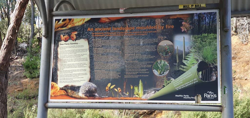 Star Photography Spot