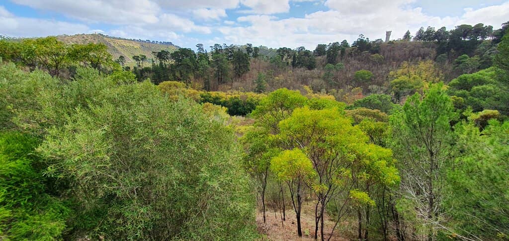 Historical Information Board