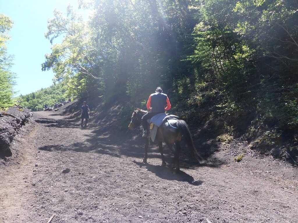 Mountain Hut Stay