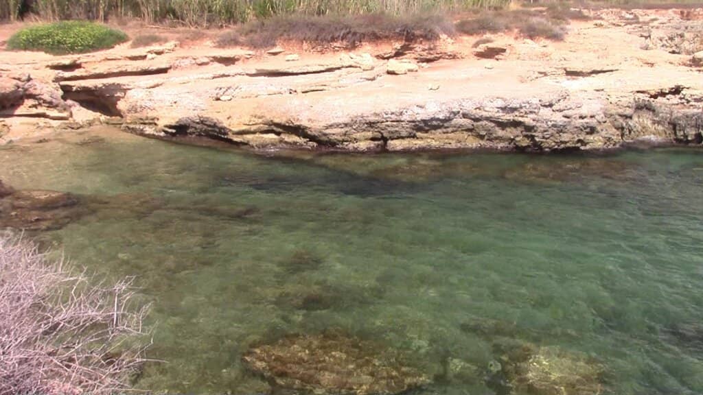Crystal-Clear Waters