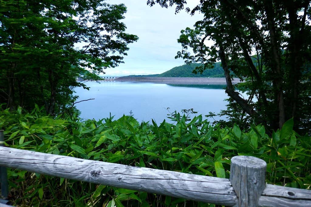 Dam Construction Material Change