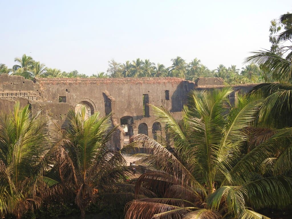 Ruins & Palm Trees