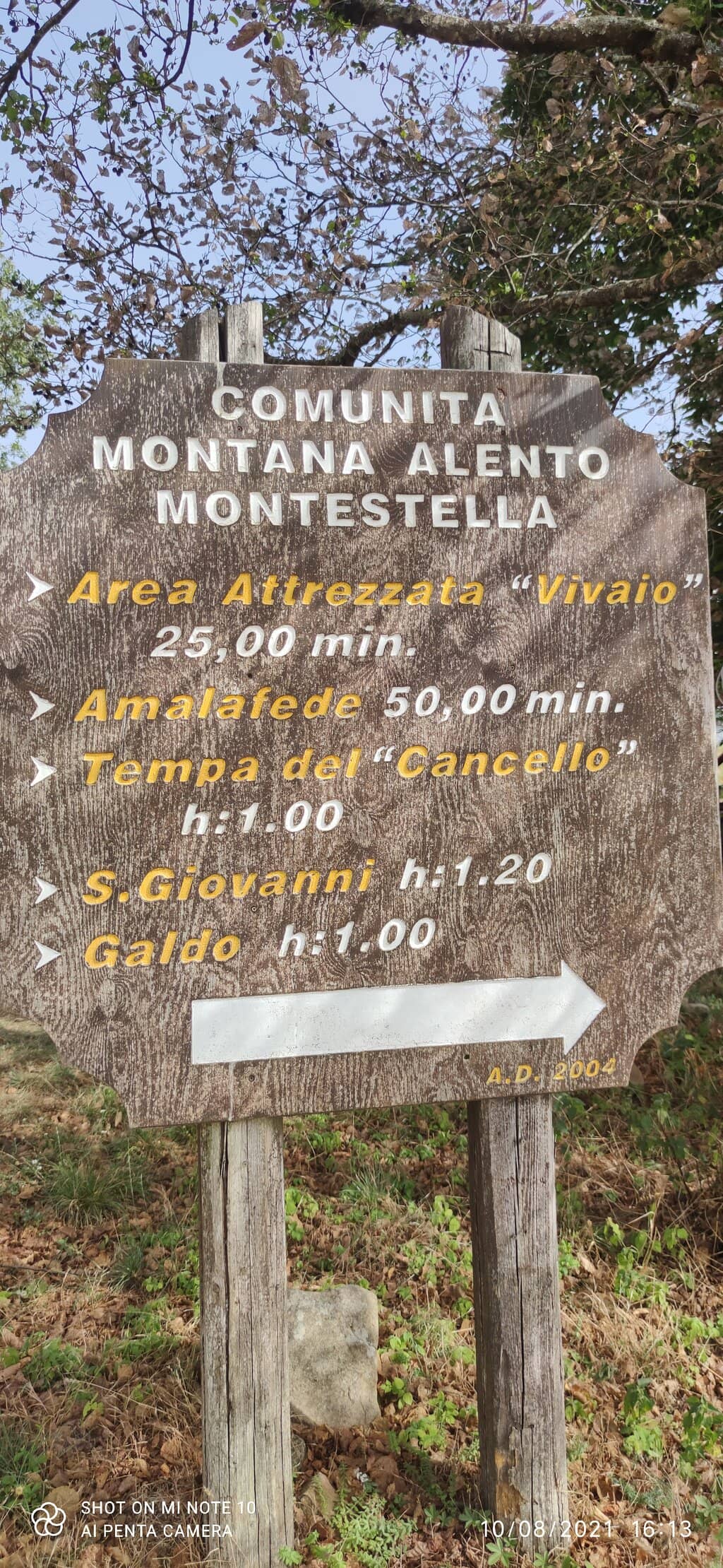 Vertical photo