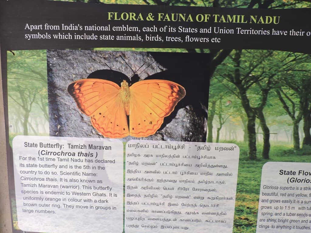 Farm Animal Enclosure