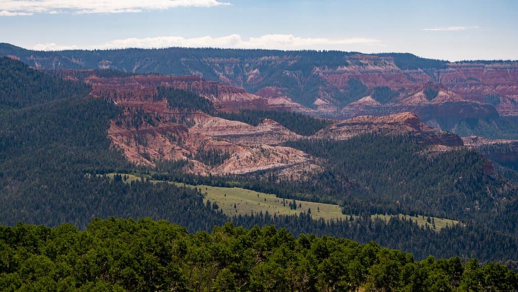 Our media team took a drive to Brian Head yesterday for a change of pace and found some wonderful views from 11,000 feet! Lots of green, bright red rock, and a surprising amount of wildflowers across the meadows and along Hwy 143 for the month of August.