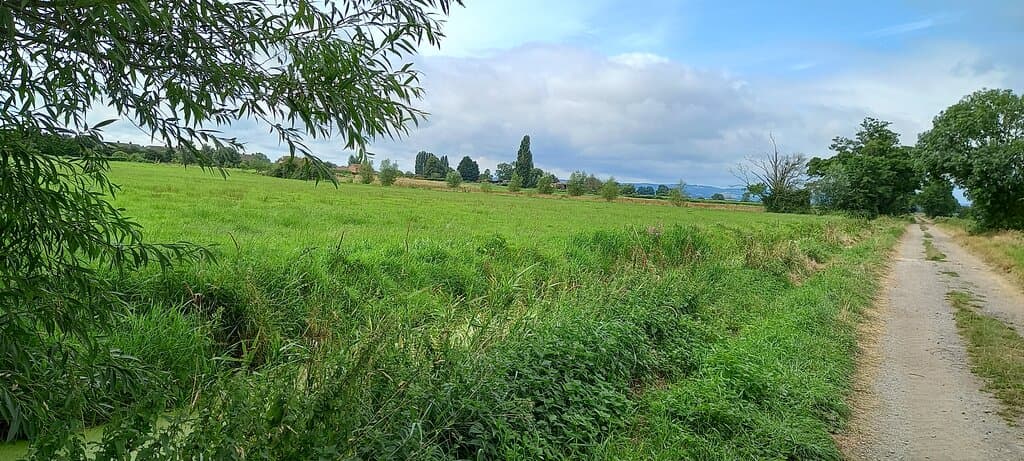 Part of the battlefield