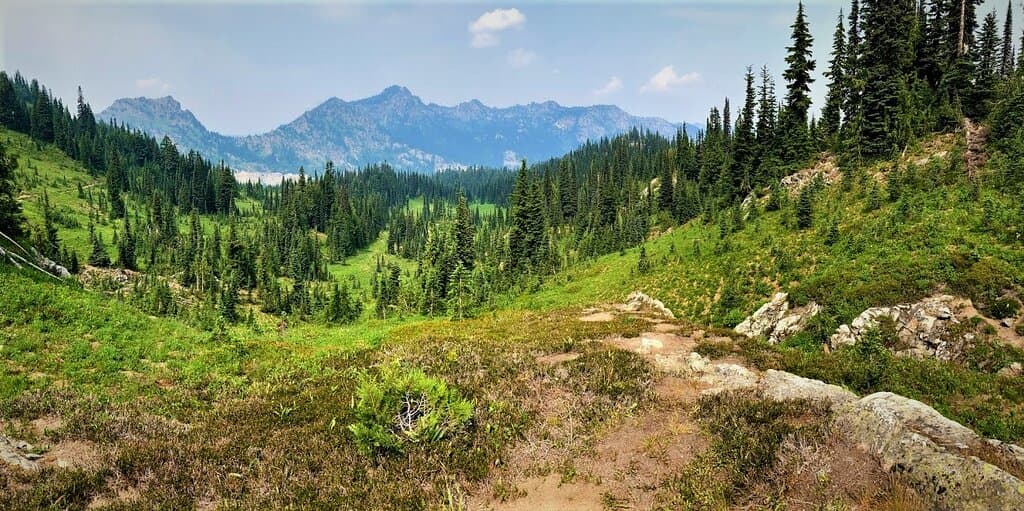 view from trail