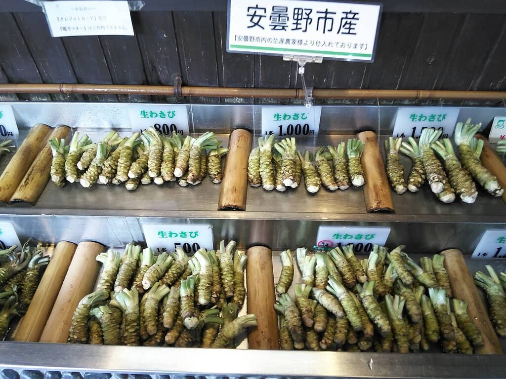 Clear-Bottom Boat Ride