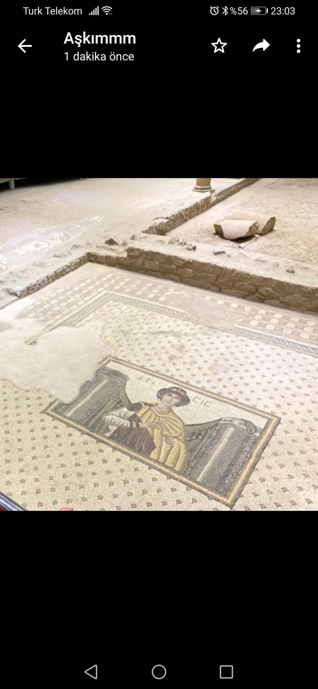 Amazon Warrior Mosaics