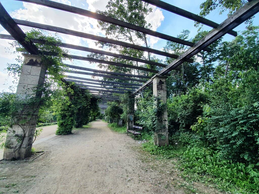 Inselteich (Island Pond)