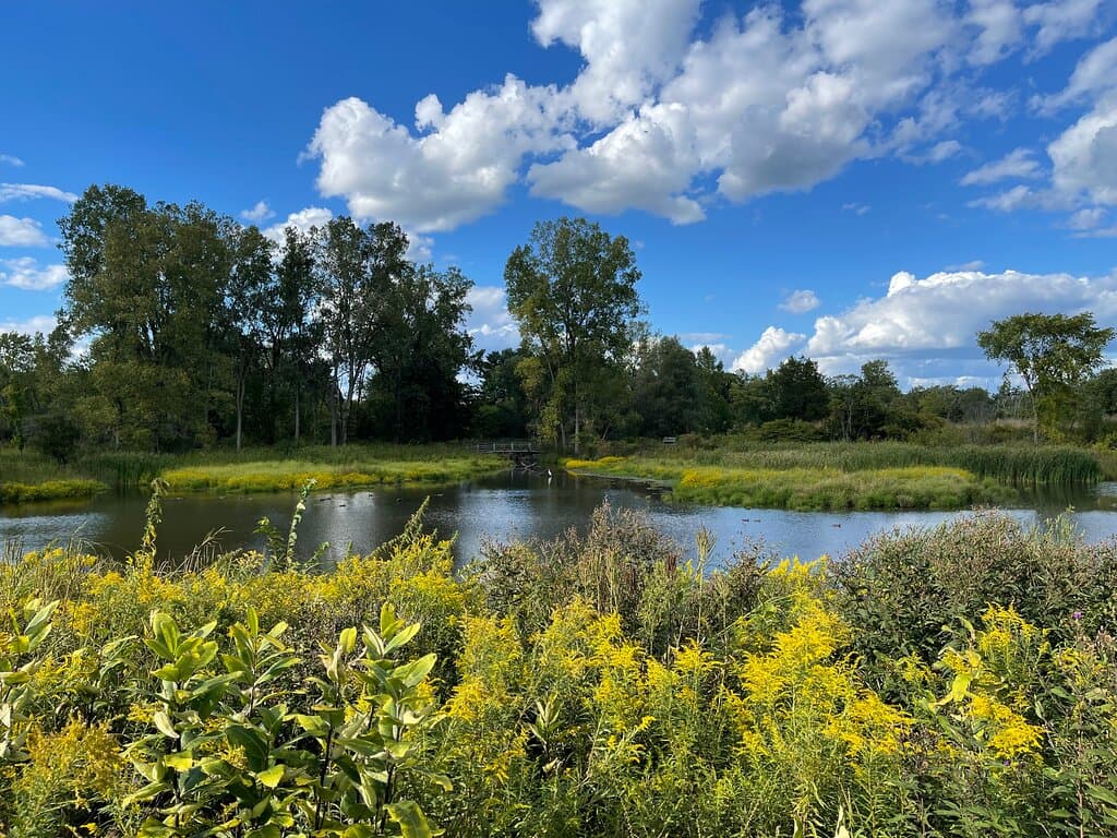 A trail around this lake leads to a nice picnic area.