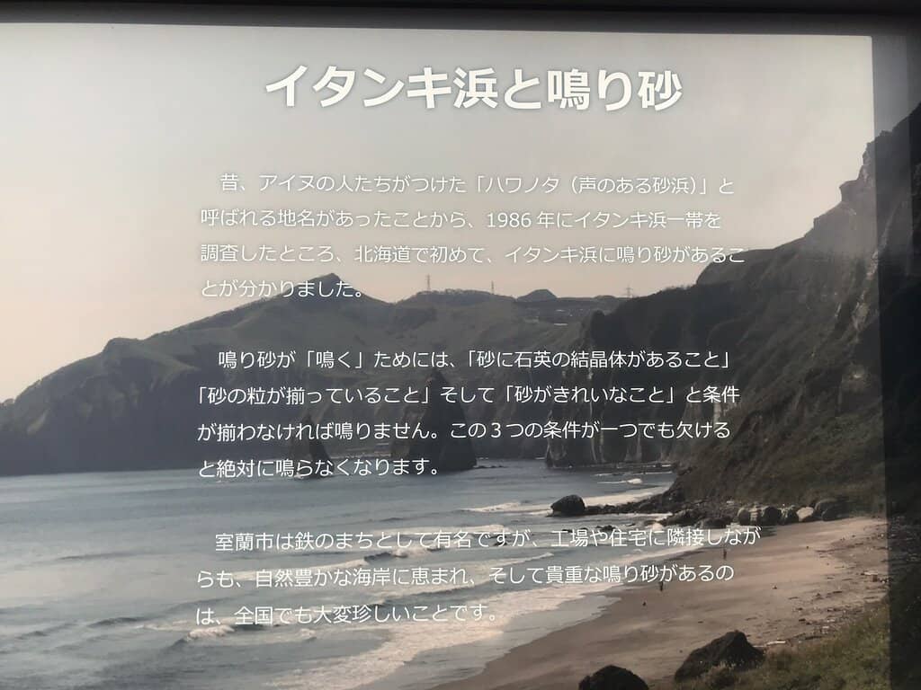 Dramatic Black Sand Shore