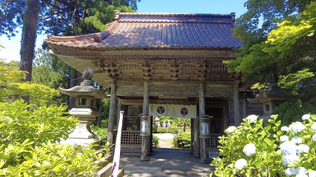 真言の三大聖地は7,000株のアジサイが咲くあじさい寺【寺院】蓮華峰寺/新潟県佐渡市