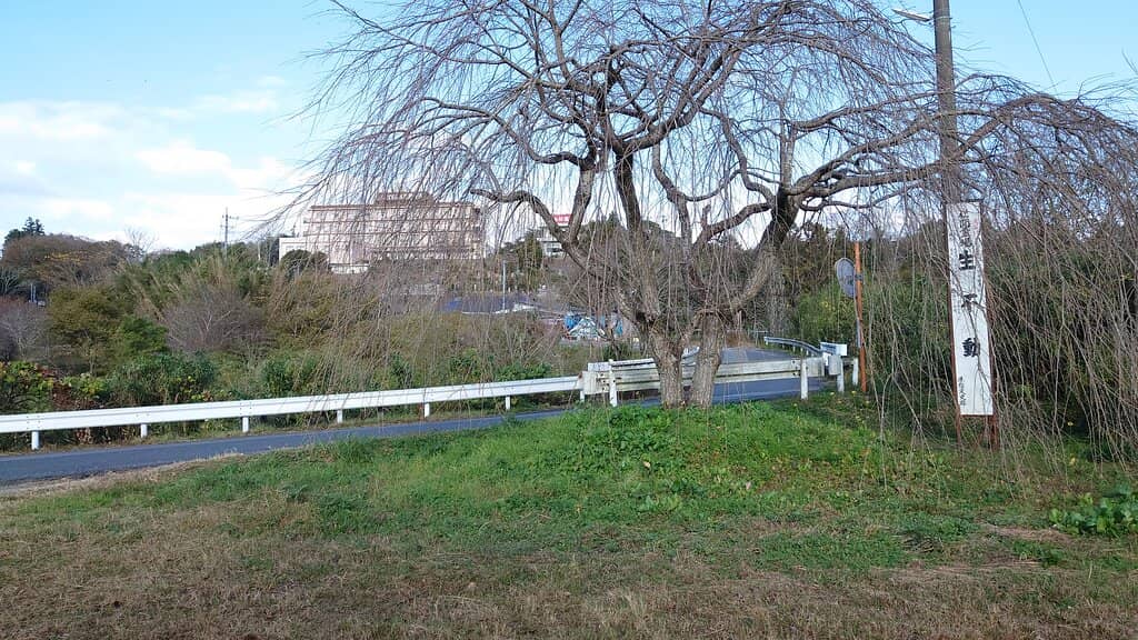 Kunisaki Peninsula Views