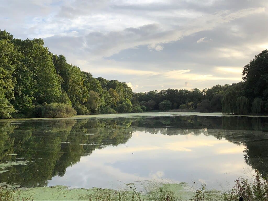 Alley Pond Park Queens