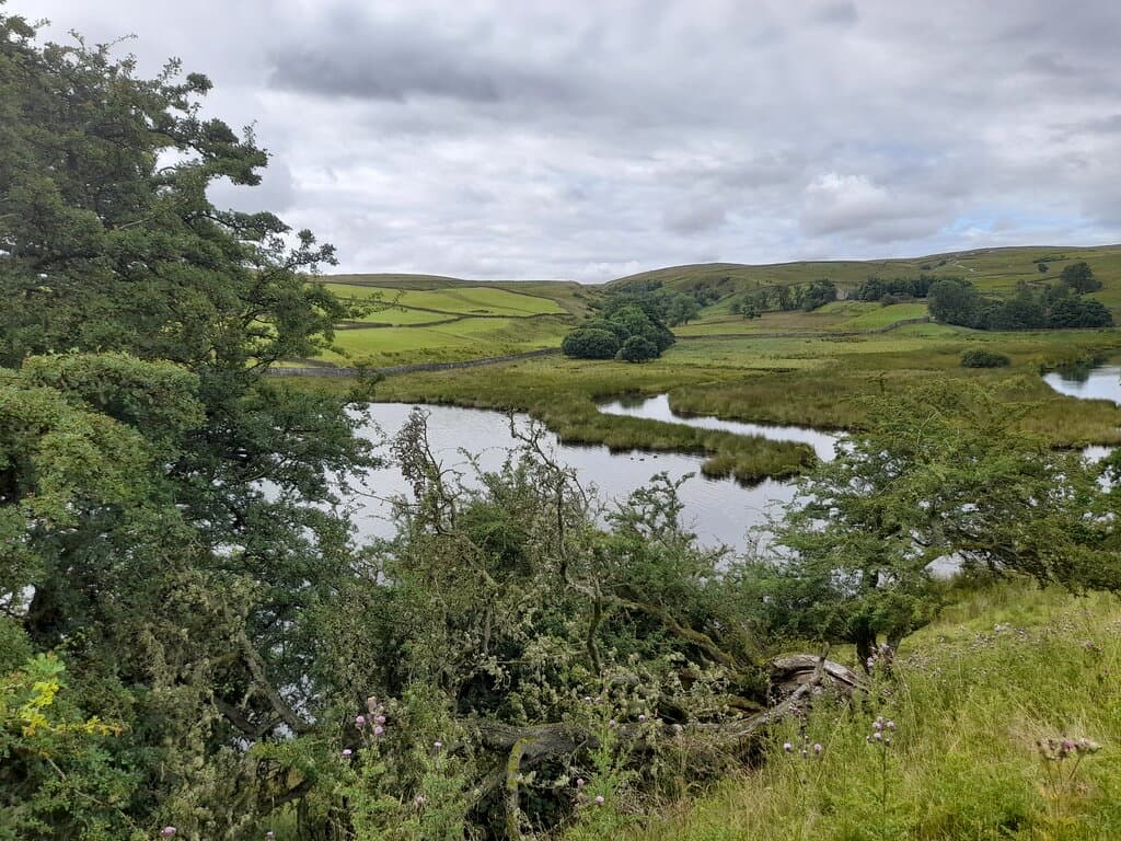 Hannah's Meadow Nature Reserve