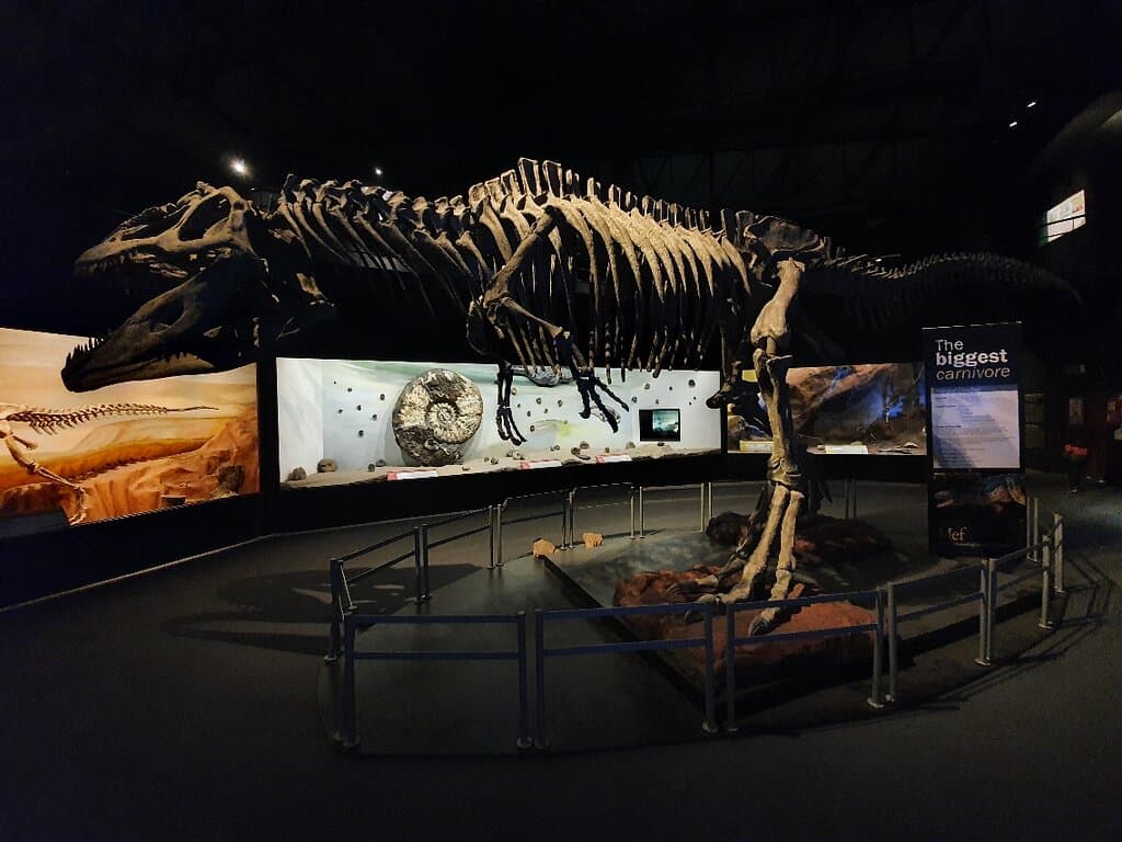 MEF Paleontology Museum Trelew